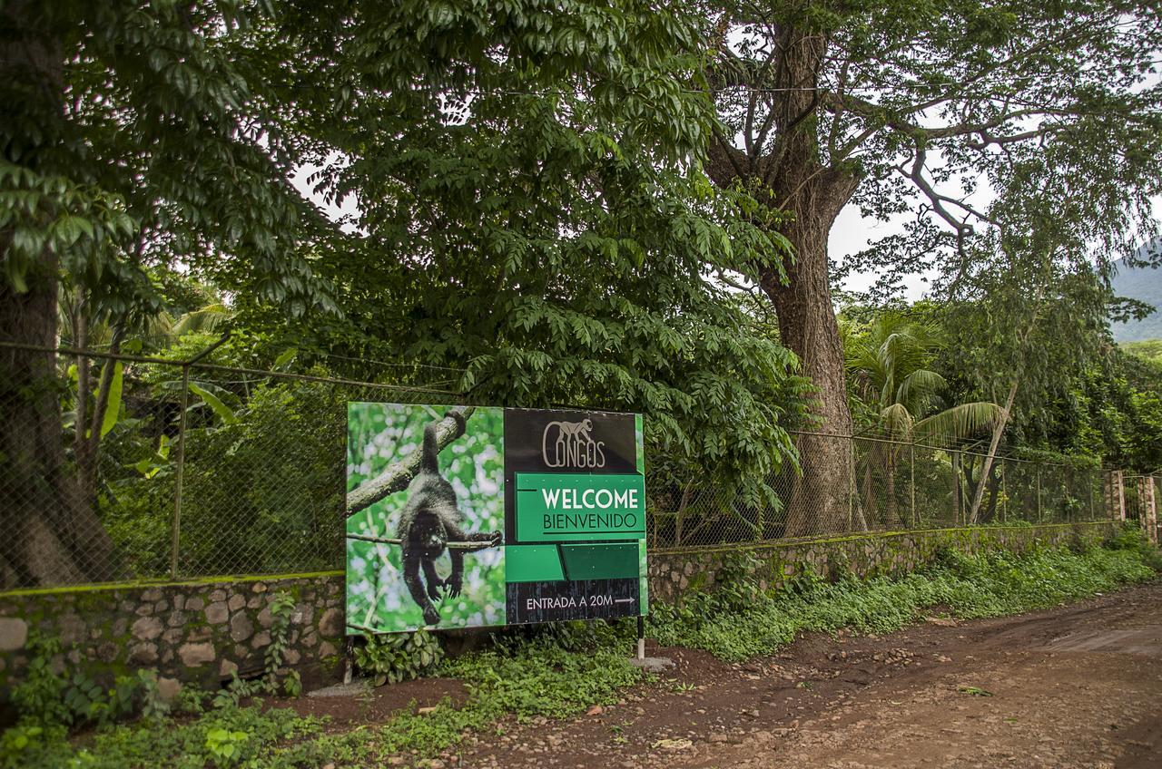 Hotel Congos Merida Ngoại thất bức ảnh